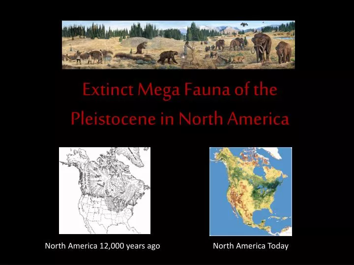 extinct mega fauna of the pleistocene in north america