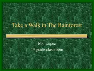 Take a Walk in The Rainforest