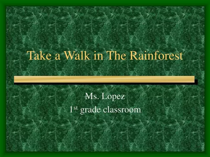 take a walk in the rainforest