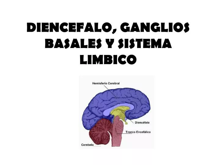 diencefalo ganglios basales y sistema limbico