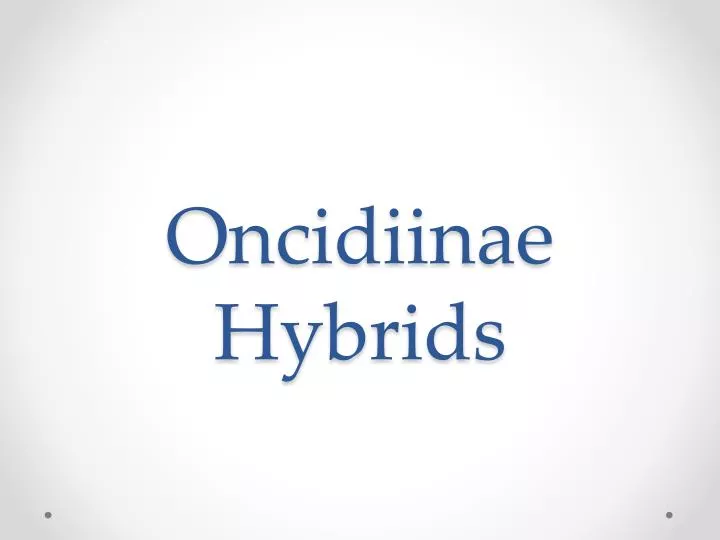 oncidiinae hybrids