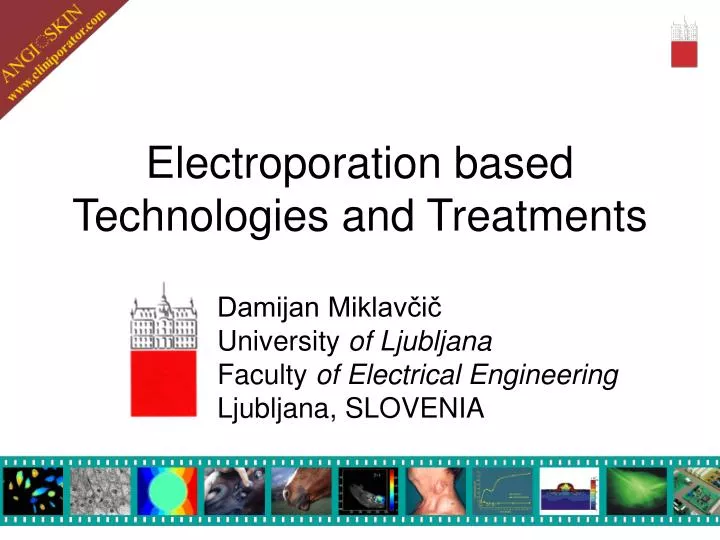 electroporation based technologies and treatments