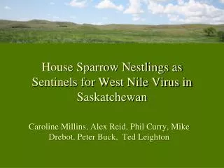 House Sparrow Nestlings as Sentinels for West Nile Virus in Saskatchewan