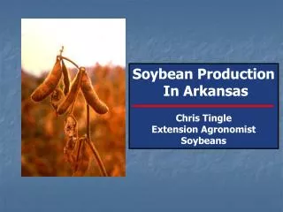 Soybean Production In Arkansas Chris Tingle Extension Agronomist Soybeans