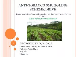 ANTI-TOBACCO SMUGGLING SCHEME/DRIVE “ Standing on One Strong Leg is Better Than on None- Jaffee, S. 2003.” ‘ Let’s prote