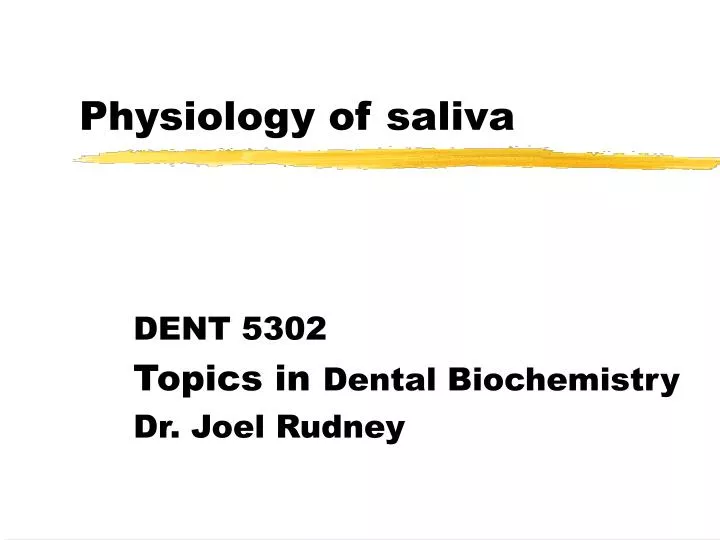 physiology of saliva