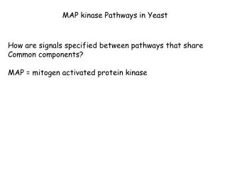 MAP kinase Pathways in Yeast