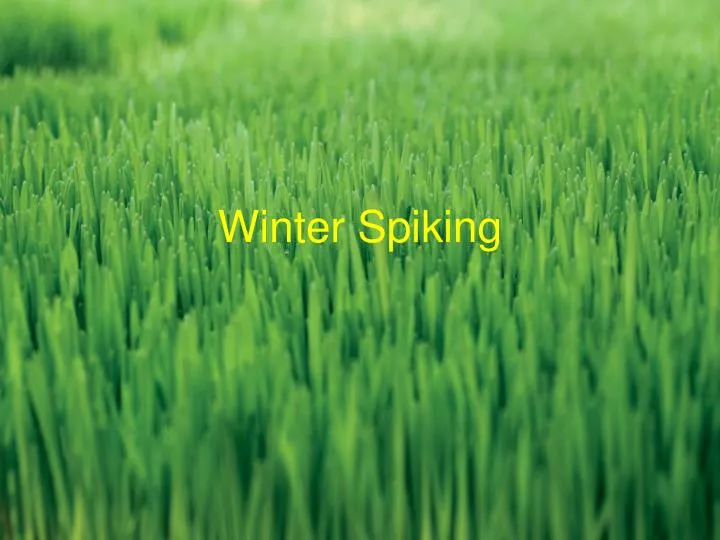 winter spiking