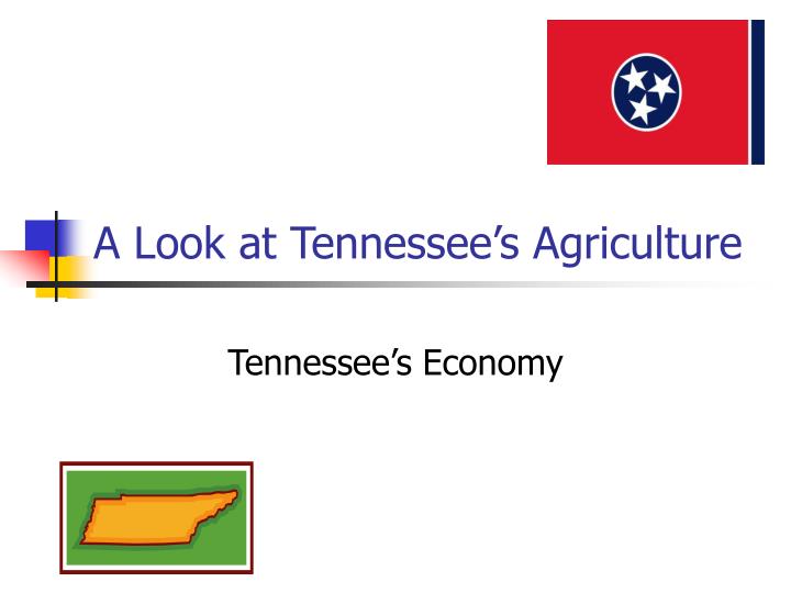 a look at tennessee s agriculture