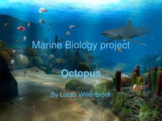 Marine Biology project