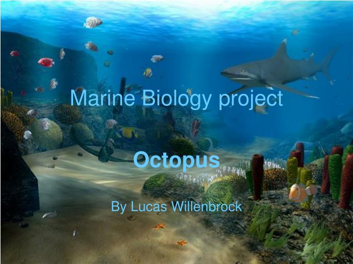 marine biology project