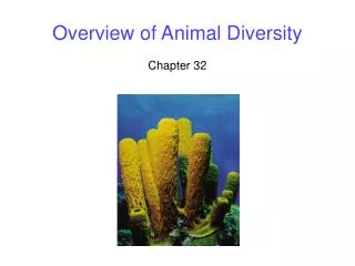 Overview of Animal Diversity