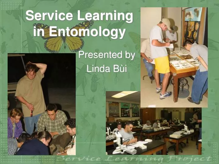 service learning in entomology