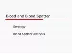 Blood and Blood Spatter - slide 1