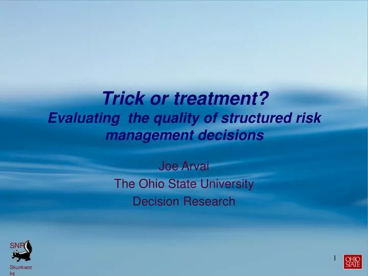 trick or treatment evaluating the quality of structured risk management decisions