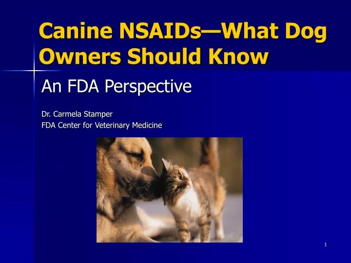 canine nsaids what dog owners should know