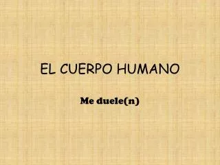 el cuerpo humano