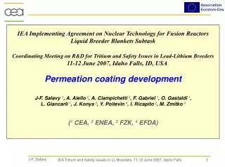 IEA Implementing Agreement on Nuclear Technology for Fusion Reactors Liquid Breeder Blankets Subtask