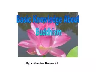 Basic Knowledge About Buddhism