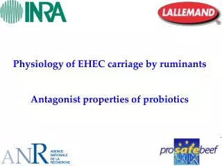 Physiology of EHEC carriage by ruminants Antagonist properties of probiotics