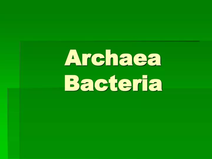 archaea bacteria