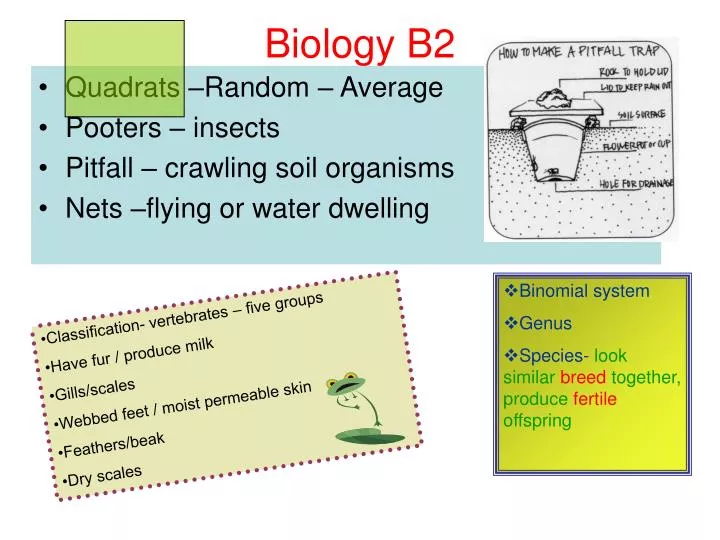 biology b2