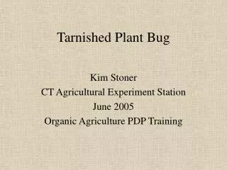 Tarnished Plant Bug