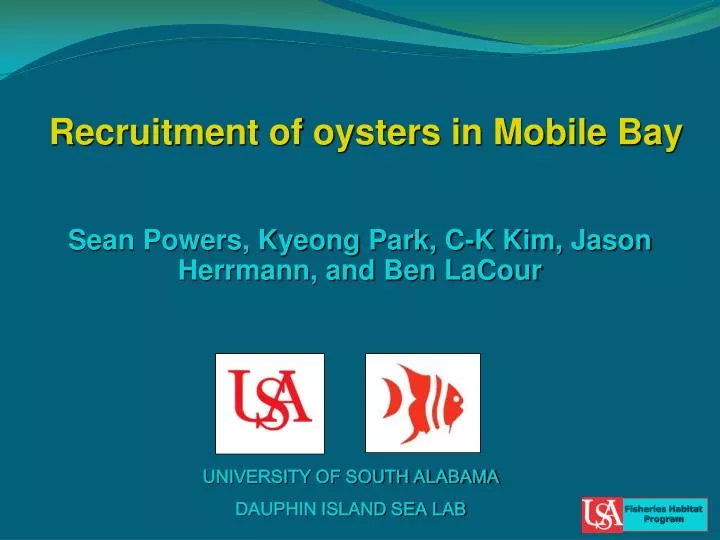 recruitment of oysters in mobile bay