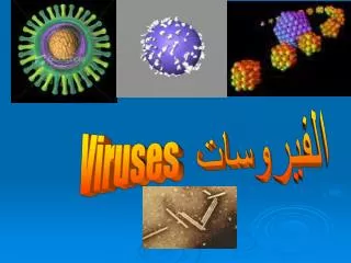 Viruses الفيروسات