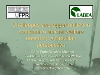 Challenges and opportunities in companion animal welfare research: a Brazilian perspective