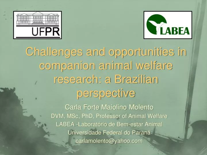 challenges and opportunities in companion animal welfare research a brazilian perspective