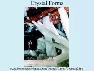 Crystal Forms