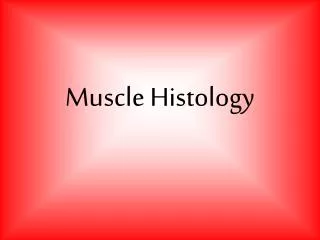 Muscle Histology