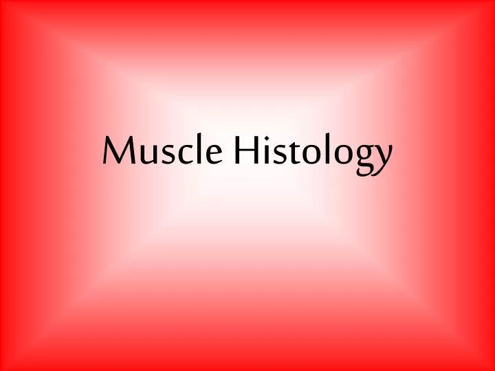 muscle histology