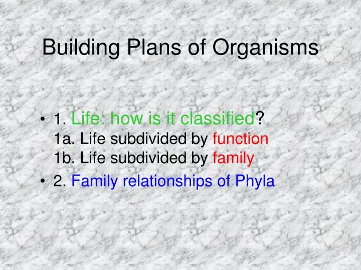 building plans of organisms