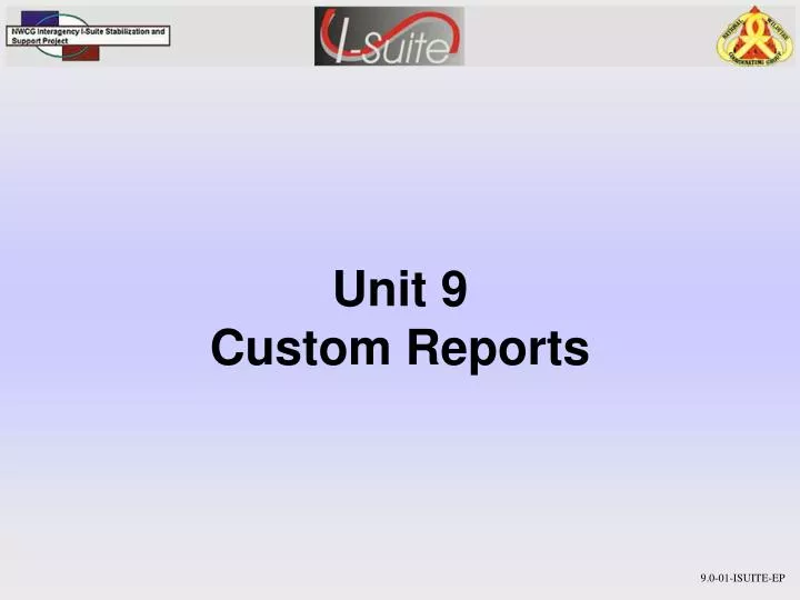 unit 9 custom reports
