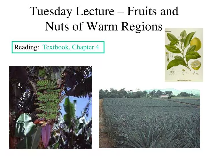 tuesday lecture fruits and nuts of warm regions