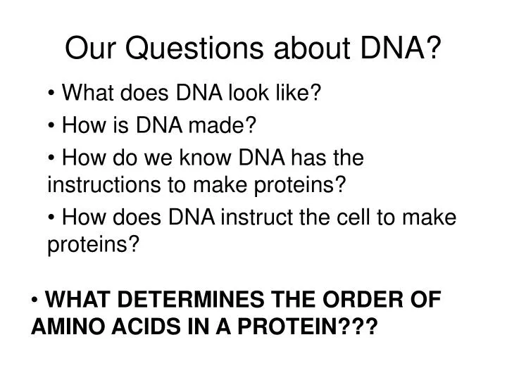 our questions about dna