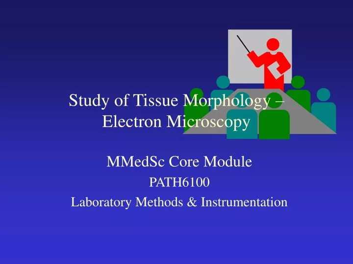 study of tissue morphology electron microscopy