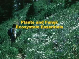 Plants and Fungi: Ecosystem Essentials
