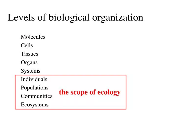 levels of biological organization