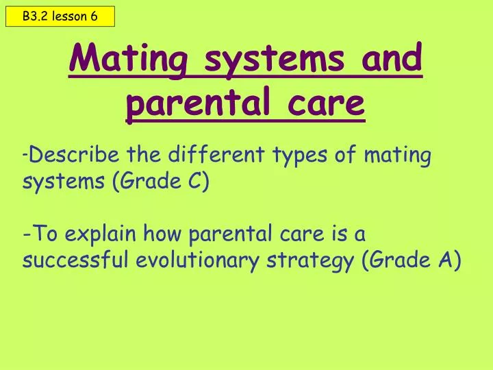mating systems and parental care