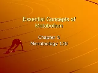 Essential Concepts of Metabolism