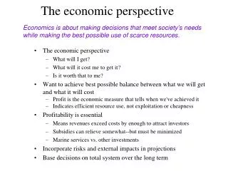 The economic perspective