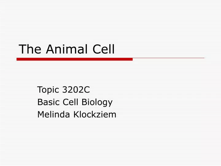 the animal cell