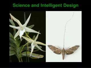 Science and Intelligent Design