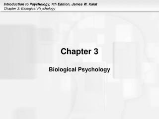 Chapter 3 Biological Psychology