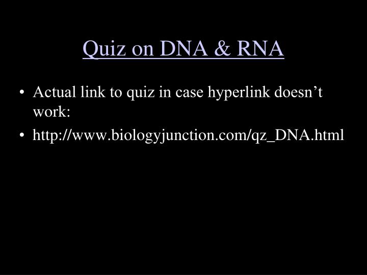 quiz on dna rna