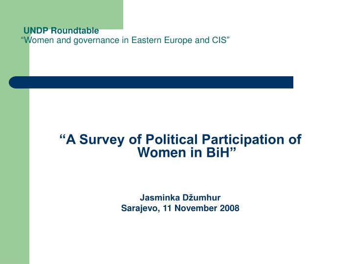 undp roundtable women and governance in eastern europe and cis