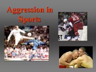 Aggression in Sports